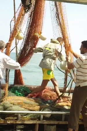 Aimer la mer à Gaza