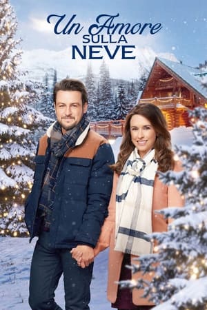 Poster di Un amore sulla neve