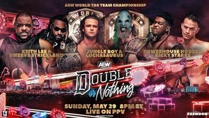 AEW Double or Nothing 2022 PPV (2022)