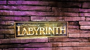 Labyrinth 1986