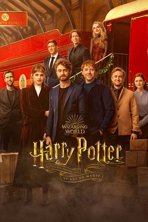 poster Harry Potter 20th Anniversary: Return to Hogwarts