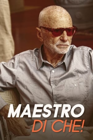 Poster Maestro di che! (2011)