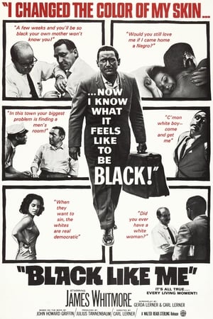 Poster Black Like Me (1964)