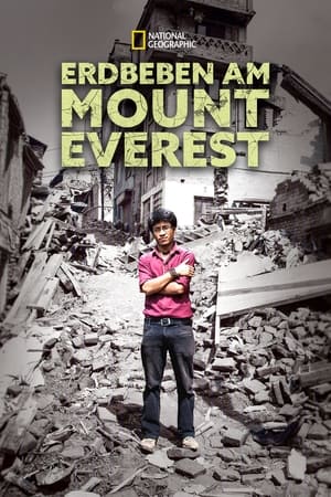 Poster Erdbeben am Mount Everest 2015