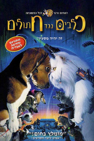 Image כלבים נגד חתולים