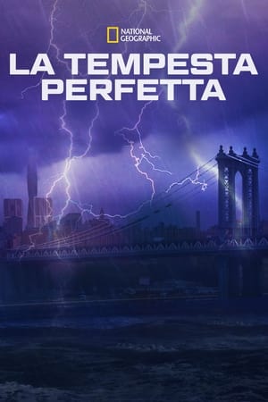 Poster La tempesta perfetta 2013