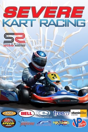 Severe Kart Racing 2010