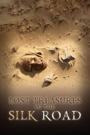 Poster Lost Treasures of the Silk Road (2013)