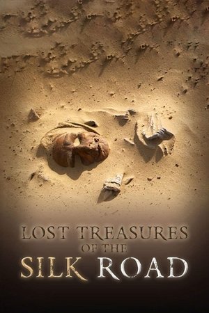 Image Lost Treasures of the Silk Road