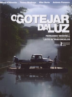 Gotas de luz 2002