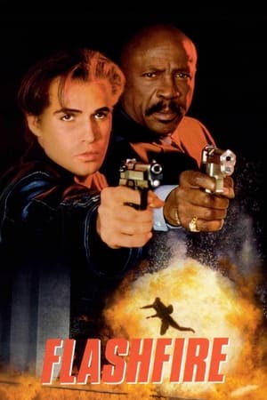 Poster Flashfire 1994