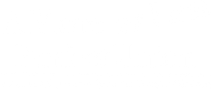 A More or Less Perfect Union
