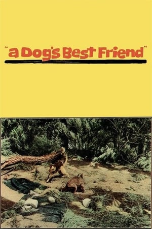 Poster A Dog's Best Friend (1959)