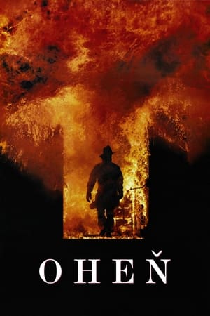 Poster Oheň 1991