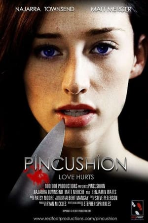Poster Pincushion (2010)