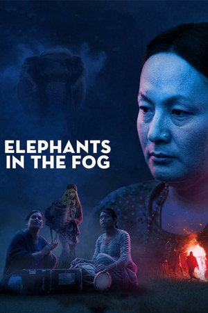 Elephants in the Fog