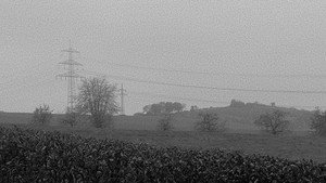 sie schaute in die ferne