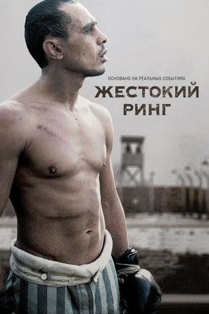 Poster Жестокий ринг 2013