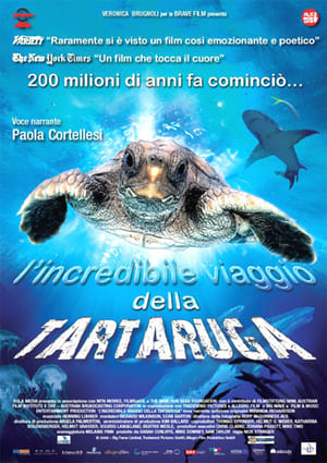 Poster di L'incredibile viaggio della tartaruga