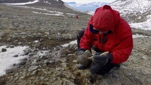 Artificial Sweeteners, Antarctica Fossils