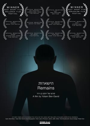 Poster Remains (2013)