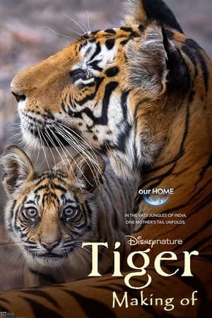 Poster Tigres : Le Making of (2024)