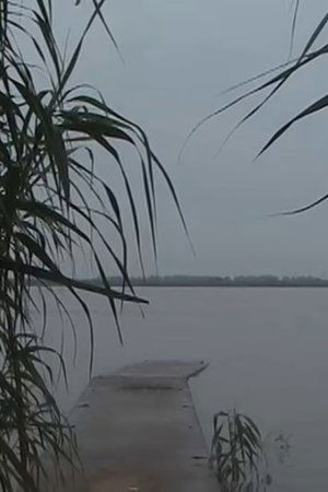 Tongjing