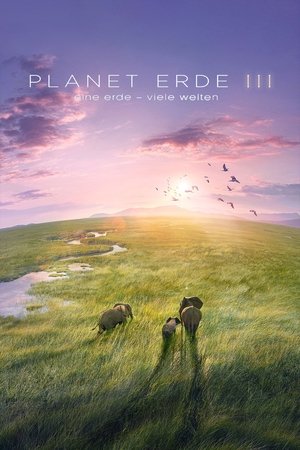 Image Unsere Erde III