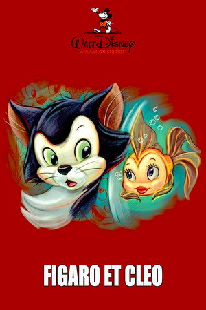 Figaro and Cleo 8
