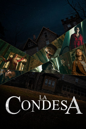La Condesa 8