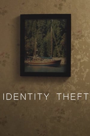 Poster Identity Theft (2015)
