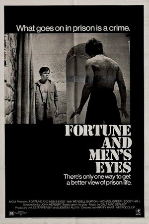 Poster Fortune and Men's Eyes (1971)