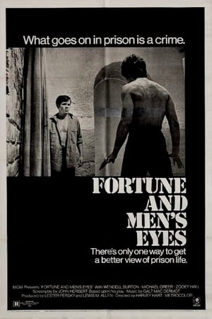 Poster Fortune and Men's Eyes 1971