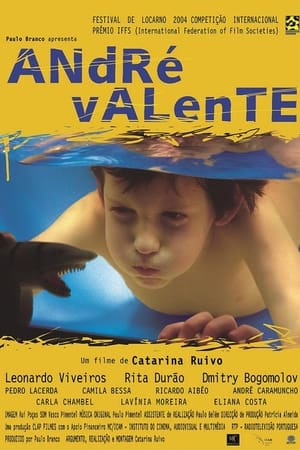 Poster André Valente 2004