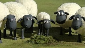 Shaun the Sheep Take Away