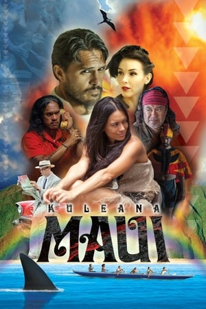 Poster Maui 2017