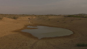 The Dream of Dancing