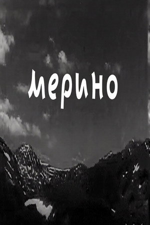 Merino