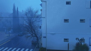 The Windshield Wiper 36