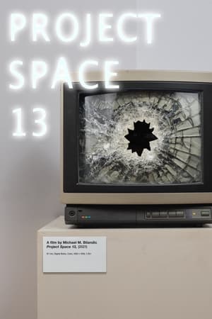 Poster Project Space 13 (2021)