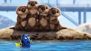 فيلم الكرتون البحث عن دوري – Finding Dory 2016 مترجم عربي