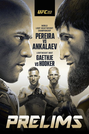 UFC 313: Pereira vs. Ankalaev 19