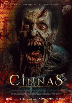 Image Cinnas