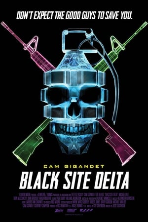 Black Site Delta poster