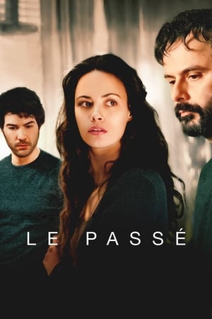 Le passé (2013)