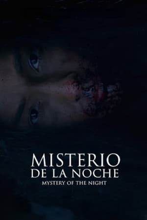 Poster Mystery of the Night (2019)