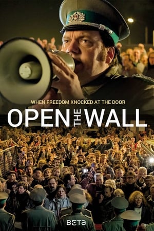 Poster Open the Wall (2014)