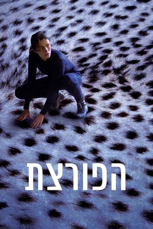 Poster הפורצת 2016