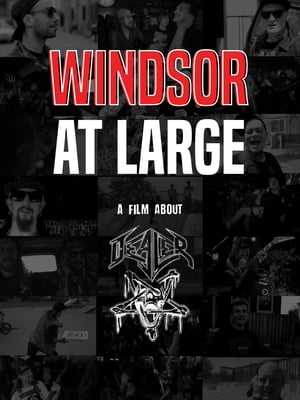 Poster Windsor at Large 2020