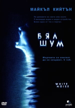 Poster Бял шум 2005